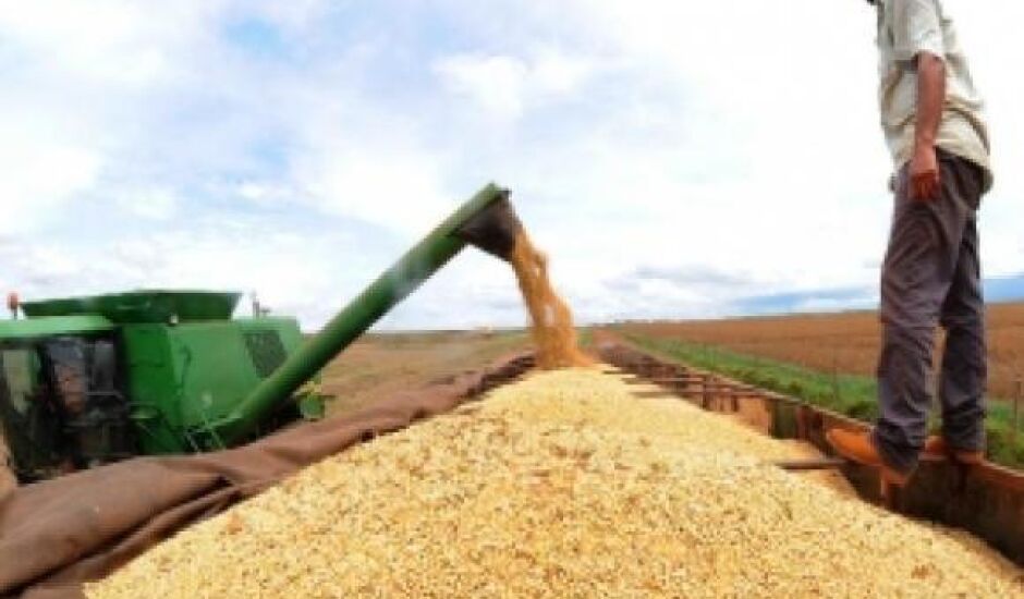 As três principais lavouras de grãos do país deverão ter crescimento neste ano: soja (17,2%), arroz (14,7%) e milho (52,3%)