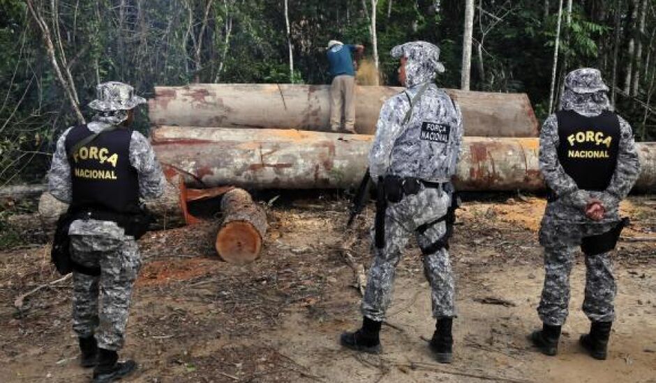 Força Nacional vai reforçar combate ao desmatamento e comércio ilegal de madeira em Novo Progresso, no Pará