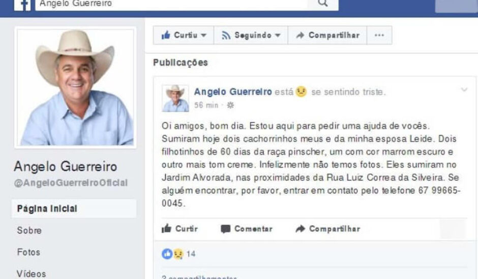 Apelo para encontrar pelos filhotes foi feito na página oficial do Facebook do prefeito de Três Lagoas, Ângelo Guerreiro