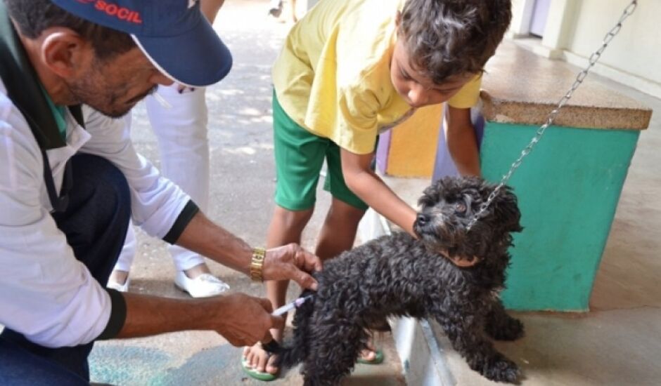 Meta é imunizar 80% da população de cães e gatos de Três Lagoas
