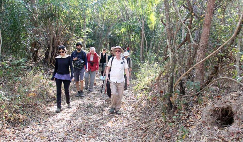 Aventura e contemplação: roteiros integrados já fortalecem as regiões de Bodoquena e Pantanal