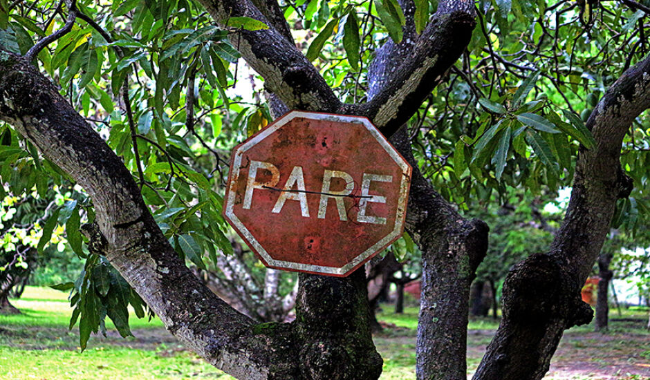 Placa de sinalização "Pare" foi arrancada e colada em uma árvore. A imagem não parece fazer sentido