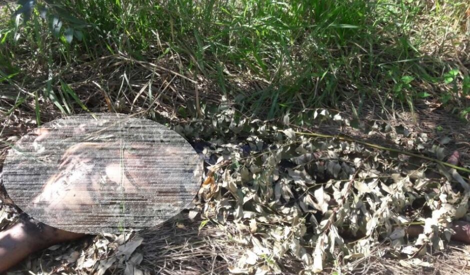 Cadáver foi encontrado em fazenda, na BR-158, no sentido a Brasilândia