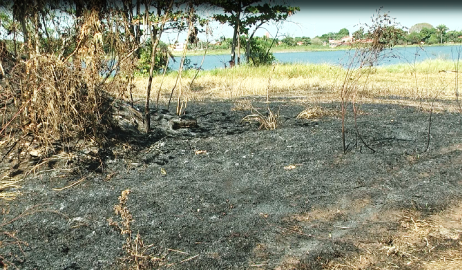 Pastagem na região da 2ª Lagoa foi destruída com queimadas; prefeitura faz campanha contra