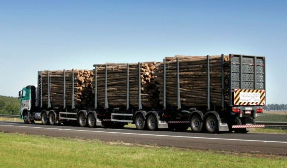 Caminhões do transporte de eucalipto não conseguem chegar ás fábricas