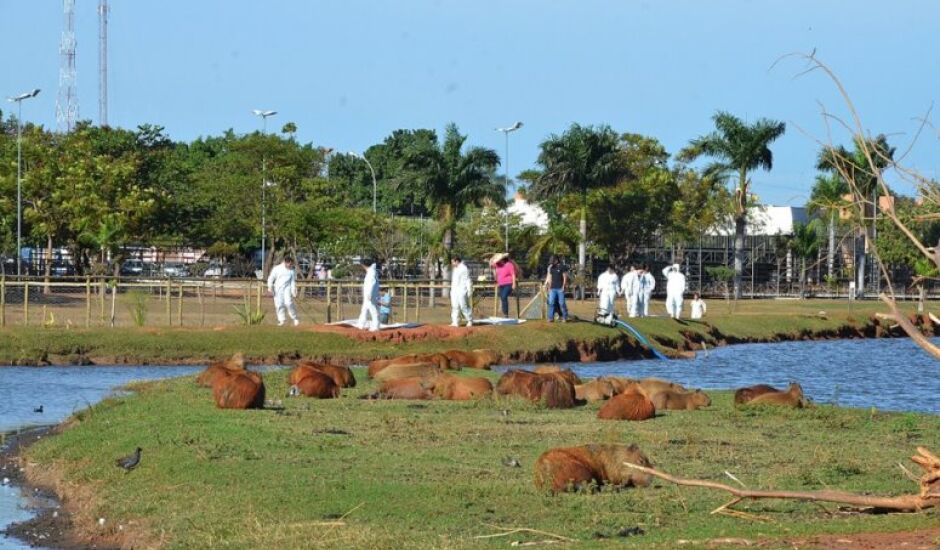 Equipes da Secretaria do Meio Ambiente e do Centro de Controle de Zoonoses (CCZ) de Três Lagoas realizaram um trabalho para a captura de carrapatos no gramado da Lagoa Maior