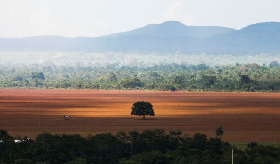 Alto Paraíso de Goiás (GO) - Área de cerrado desmatada para plantio no município de Alto Paraíso