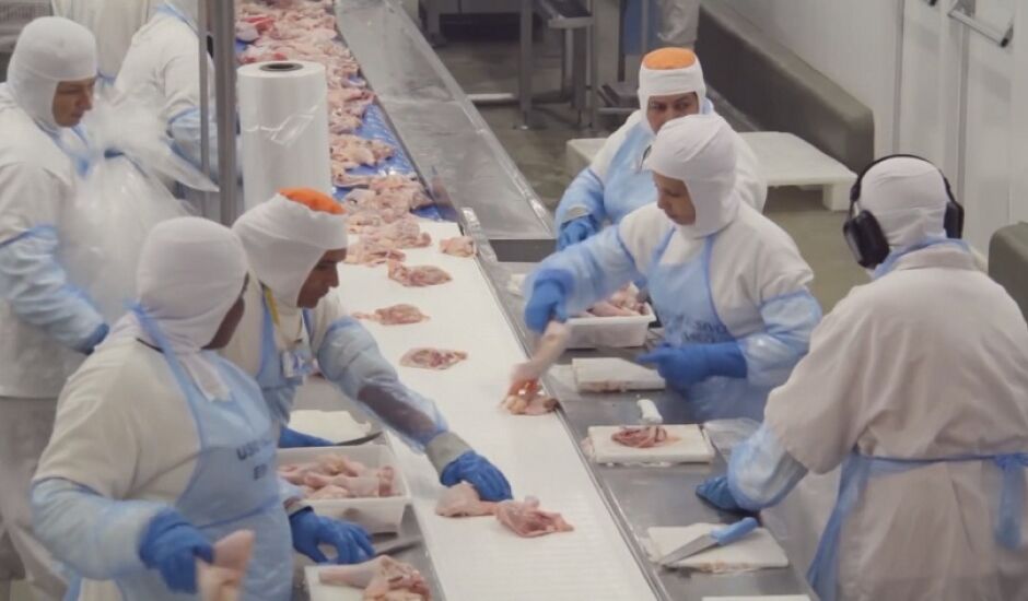 O setor avícola, afetado pela suspensão de frigoríficos, teve queda de 7,36%