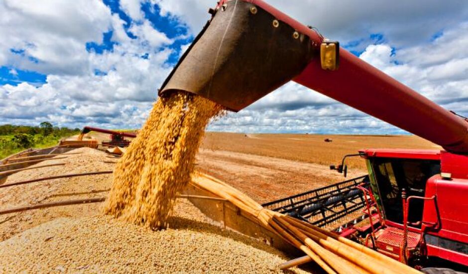 Conab revisou produção de grãos para 229,7 milhões de toneladas