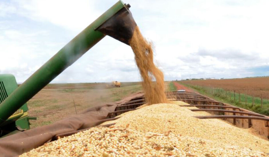 Devem ser produzidos 227,9 milhões de toneladas de grãos no país este ano, 0,1% abaixo do estimado em maio