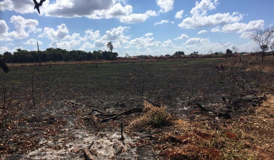 Número de queimadas em terrenos baldios em Três Lagoas aumentou 141%