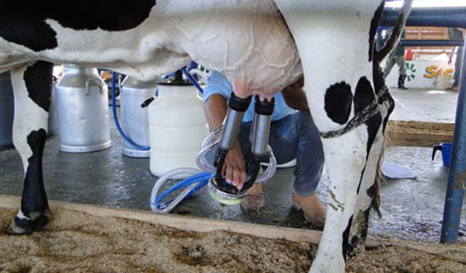 Em todo o país, segundo o IBGE, a produção de leite foi de 33,5 bilhões de litros
