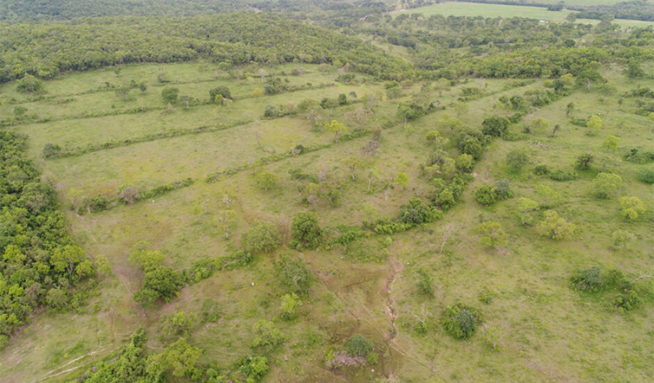 Ação ocorreu, nesta terça-feira (30), durante Operação Cervo-do-Pantanal
