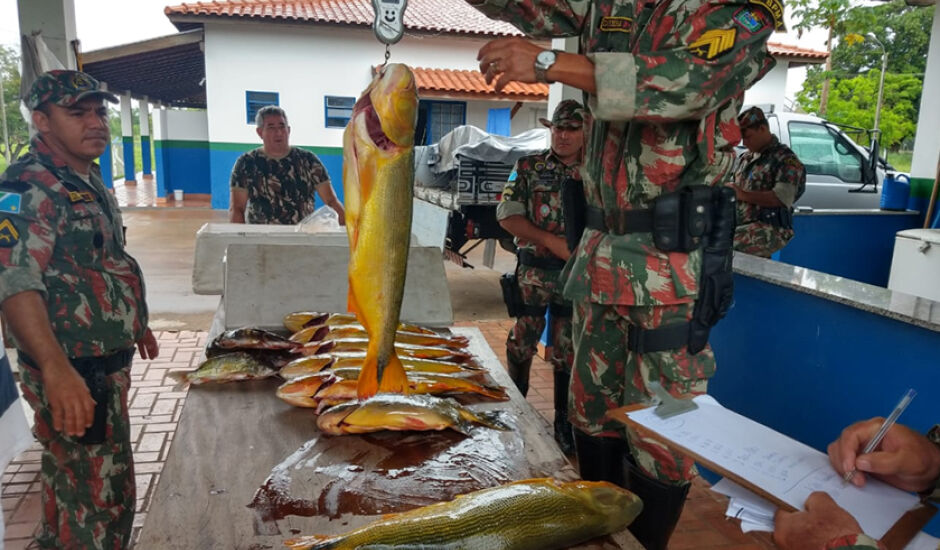 Quantidade de pescado apreendida foi de 614,5 kg