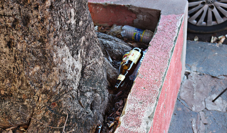 Garrafas de vidro de bebidas alcoólicas são deixadas em canteiro de árvore em rua central de Três Lagoas