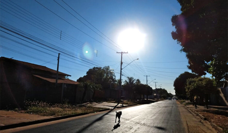 Cachorro fazendo sua caminhada matinal na rua Egídio Thomé