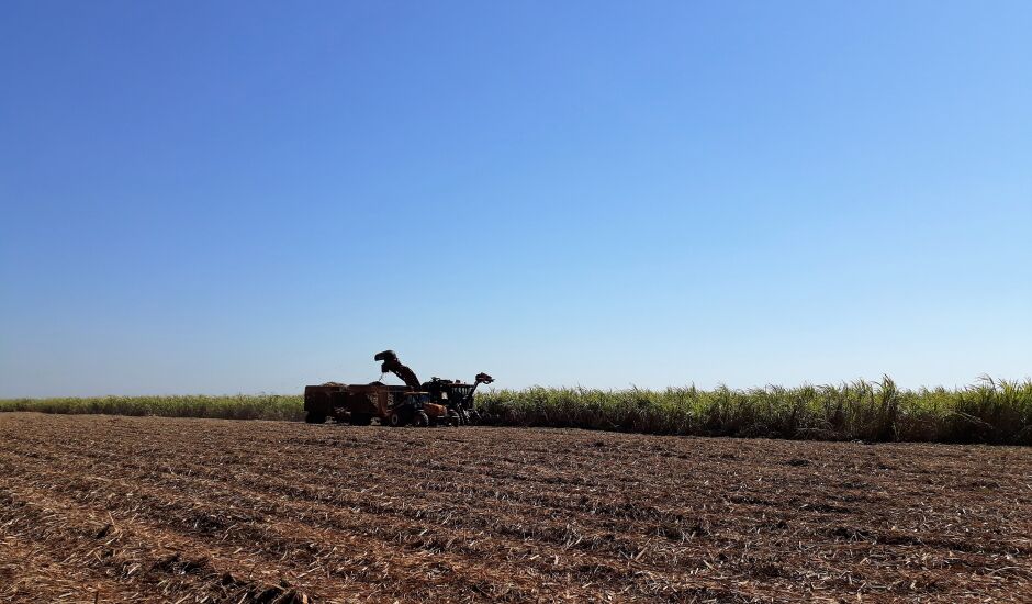 Moagem da cana em Mato Grosso do Sul chegou a 45 milhões de toneladas em dezembro
