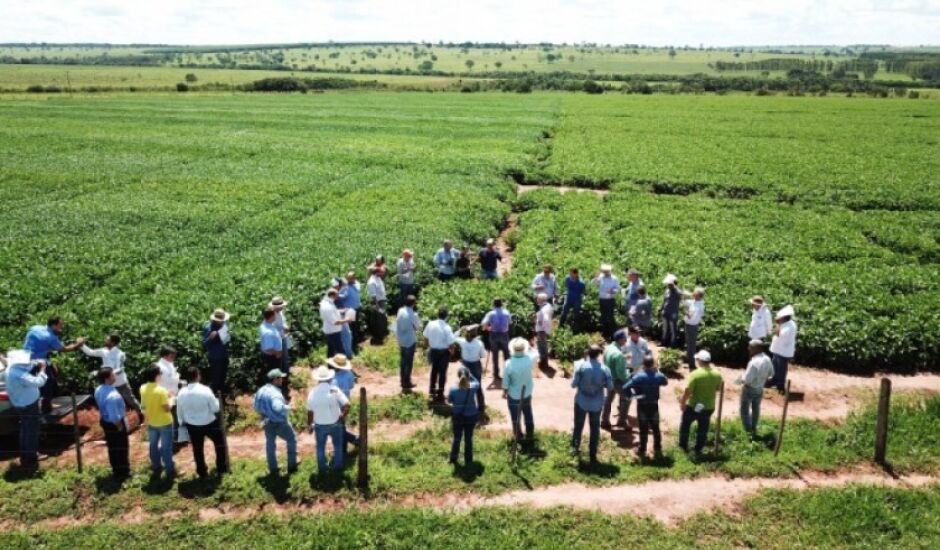 Estima-se que a área plantada de soja em Paranaíba na safra 2018/2019 já seja superior a 4 mil hectares