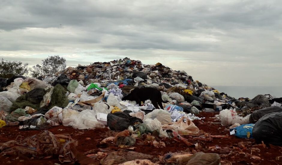 No ano passado a empresa responsável por levar o lixo até o aterro era a Kurica Ambiental