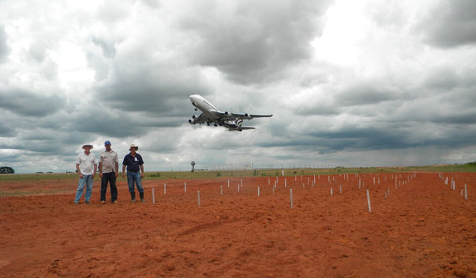 Pesquisadores propõe o termo “Agricultura de aeroporto” para definir um conjunto de técnicas de manejo de cobertura vegetal de solo