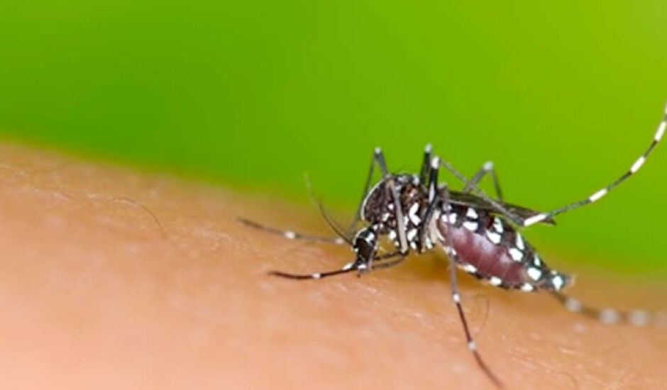 De acordo com dados divulgados pelo município, entre janeiro e março foram notificados 7.530 casos de dengue no município