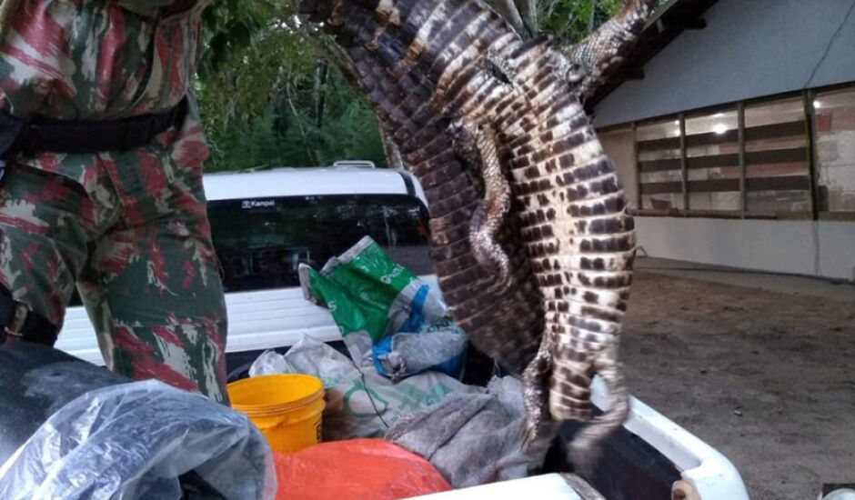 Pescadores foram multados em R$ 5 mil cada um por crime de caça ao jacaré
