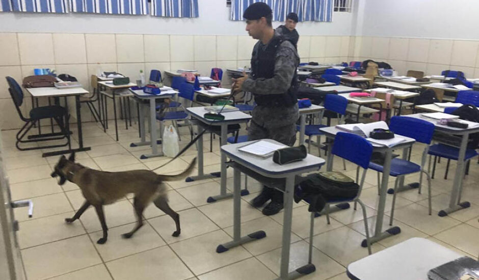PMs vasculharam as salas de aulas com auxílio da cachorra Mara