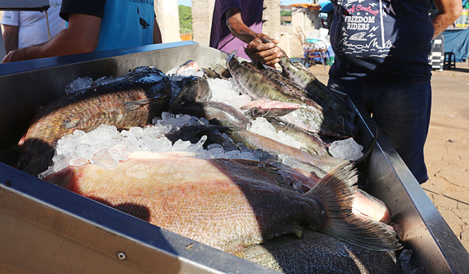 Além de peixes, a feira contou com vendas de outros produtos, como verduras, temperos, pães, e até mesmo artesanatos