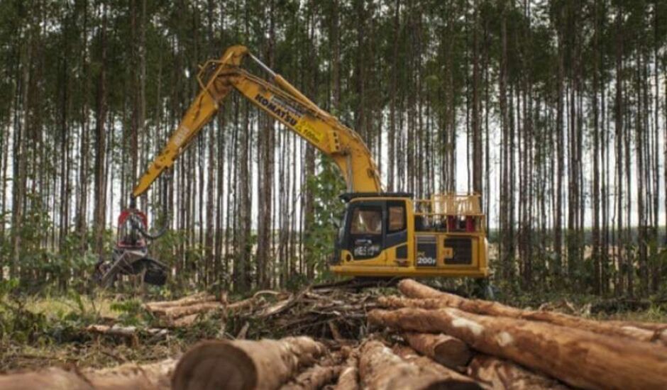 Empresa abre inscrições para curso de operador de máquinas florestais em Água Clara