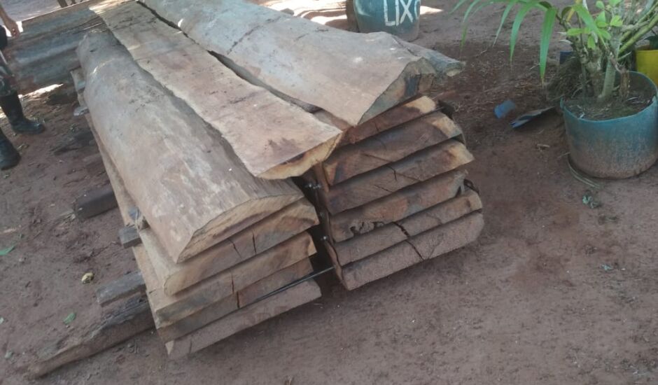 A PMA verificou resquícios de árvores derrubadas na área protegida e encontrou uma tora de ipê armazenada na propriedade do infrator