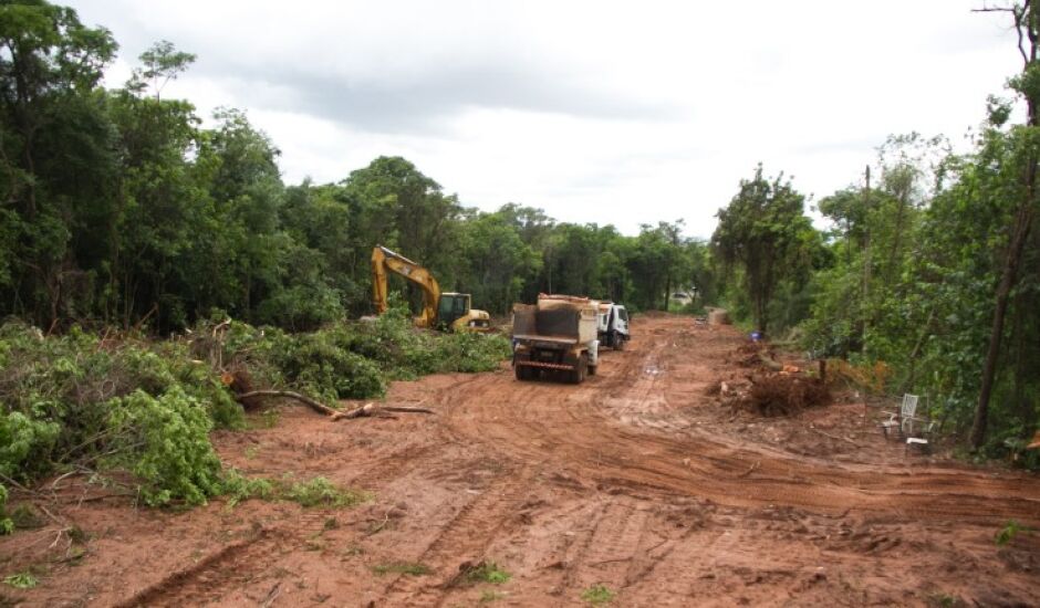 Várias árvores foram derrubadas para construção da Avenida Fadel Yunes, no Parque dos Poderes
