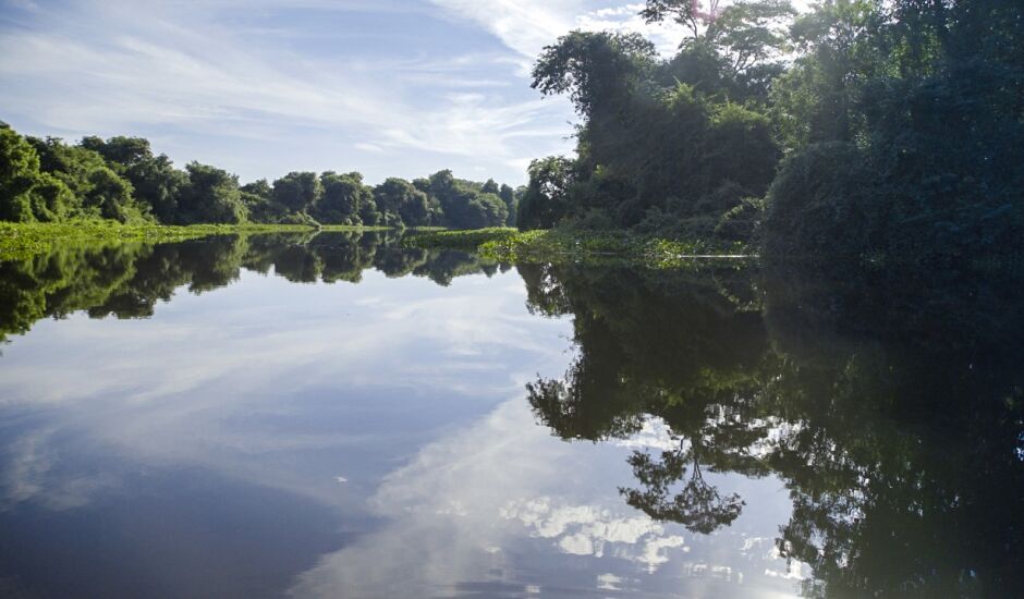 A preservação do Pantanal está ligada ao fato da área ter limitação de uso, segundo explicou o gerente do WWF-Brasil, Júlio César Sampaio