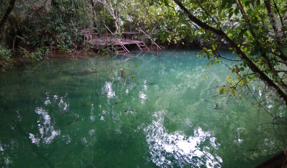 Audiência pública vai propor medidas para manter transparência das águas e o equilíbrio do meio ambiente na bacia hidrográfica da Serra da Bodoquena