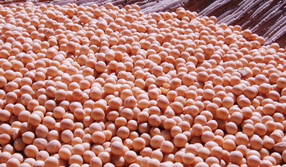 De acordo com estimativa da Conab, soja influenciará volume recorde de grãos.
