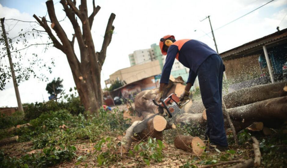 Para realizar a poda ou remoção de árvores dentro ou fora de um terreno, o proprietário deve solicitar autorização da prefeitura de Campo Grande