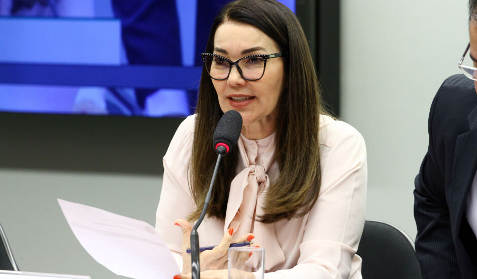 Deputada Margarete Coelho (PP-PI), relatora do projeto