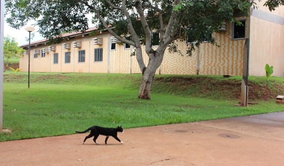 Novela azarada sobre curso de medicina veterinaria em Paranaíba parece não ter fim