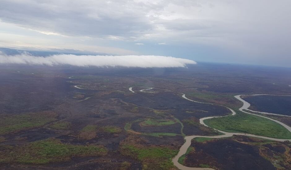 Em algumas regiões foram registrados 70 mm de chuvas, a situação no Pantanal requer cuidado e atenção.
