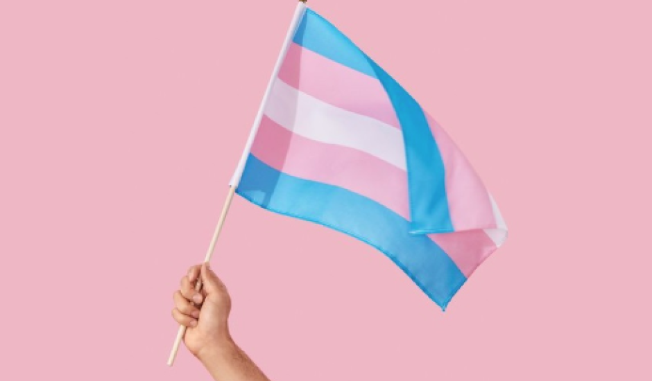 Bandeira da representatividade trans.