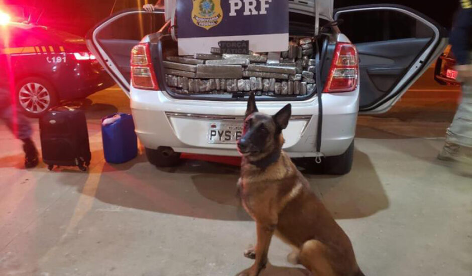 Equipe da Força Tática da Polícia Militar de Coxim foi chamada, e com o auxílio do cão farejador, indicou odor de entorpecentes no carro