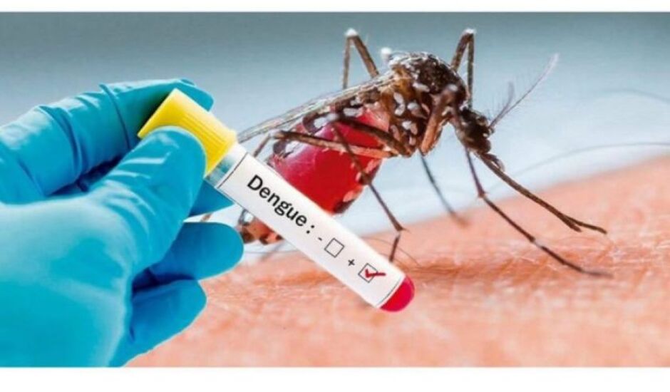 Casos de dengue preocupam moradores de Paranaíba