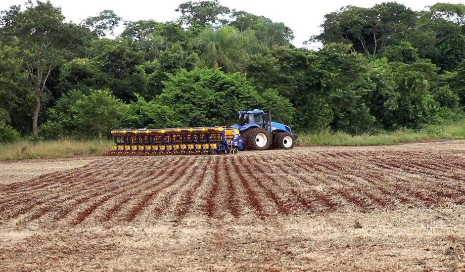 Agricultores aproveitam clima para colher soja e plantar milho.