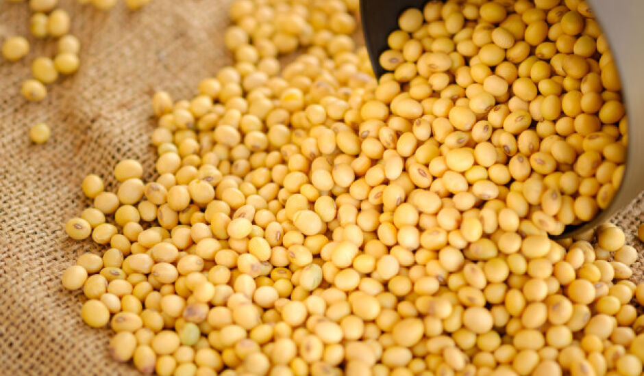 Produção de grãos deve registrar volume recorde em MS, segundo a Conab.