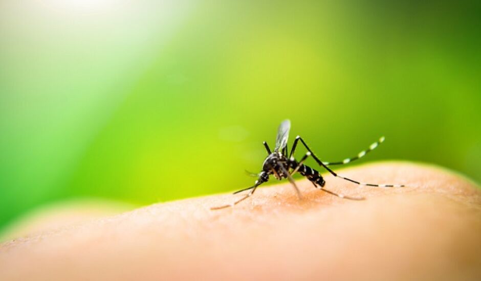 A incidência no município ultrapassa 2272% e coloca na posição de 32º no Estado no ranking de alta proliferação do Aedes