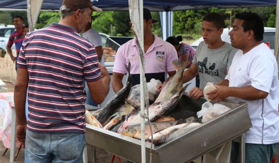 No ano passado, pescadores de Três Lagoas conseguiram vender mais de 10 toneladas de pescados