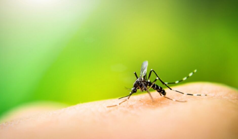 Mato Grosso do Sul segue como o segundo Estado da federação com maior incidência de casos da dengue