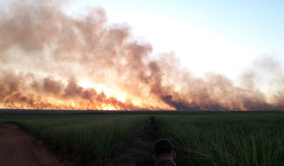 Área queimada foi de 294 hectares de canavial