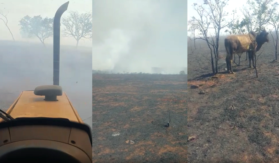 Vídeos compartilhados nas redes sociais, mostram o tamanho da área consumida pelo fogo
