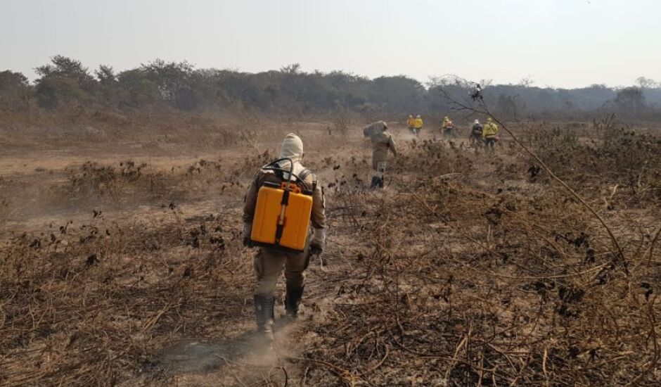 Simone Tebet alerta o Congresso para as queimadas no Pantanal
