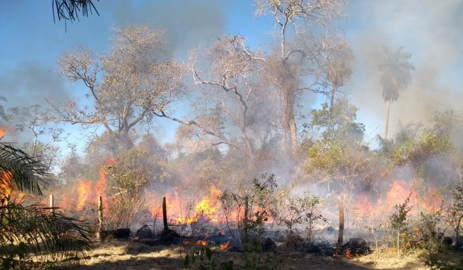 Incêndio de grandes proporções, controlado pelos bombeiros e peões, atingiu três fazendas na Nhecolândia.